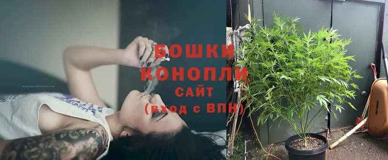 shop какой сайт  KRAKEN зеркало  Клин  где продают наркотики  Марихуана Amnesia 